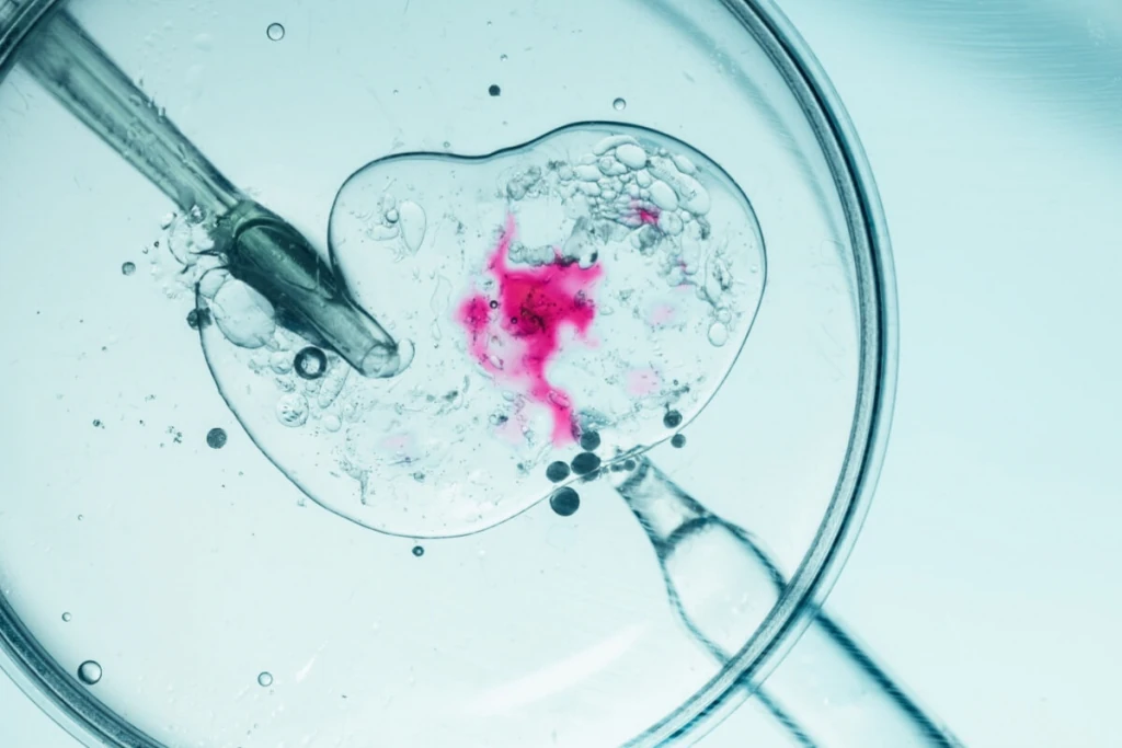 Clinica de inseminação em Feira de Santana